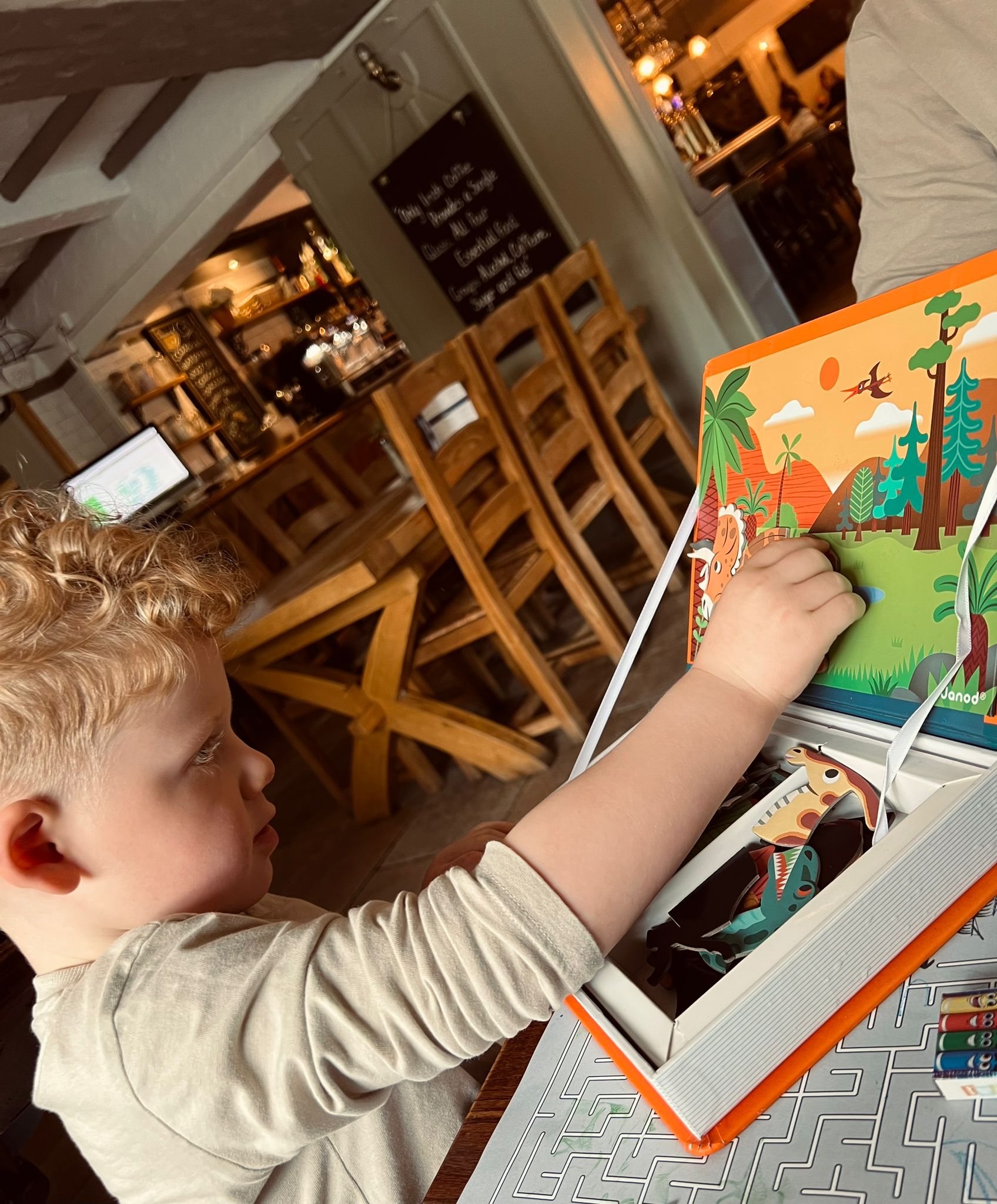 Janod Magnetibook with Dinosaurs