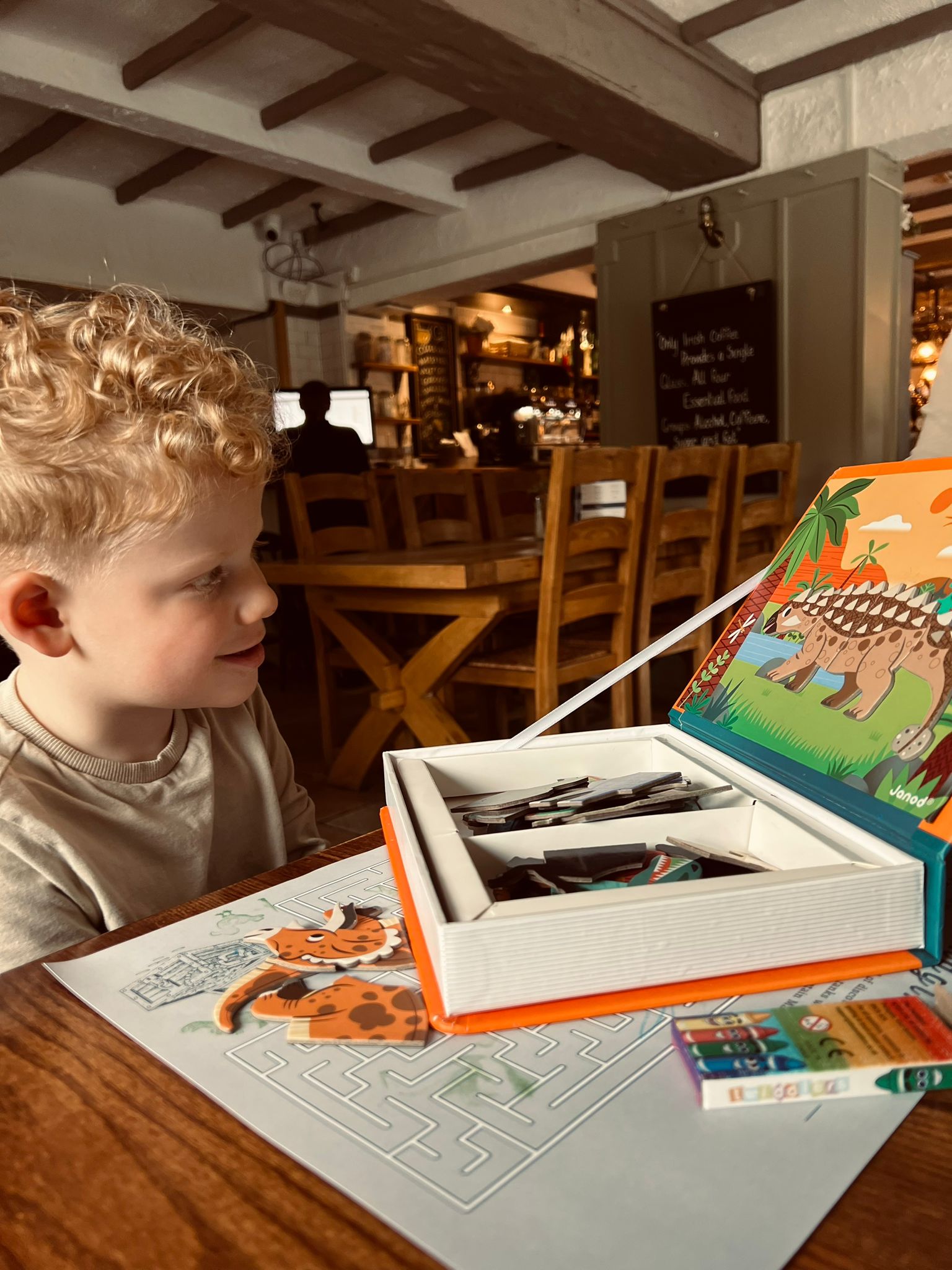 Janod Magnetibook with Dinosaurs